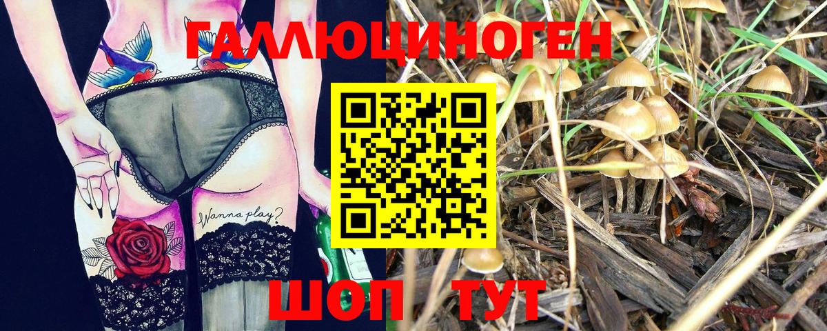 Галлюциногенные грибы прущие грибы Самара