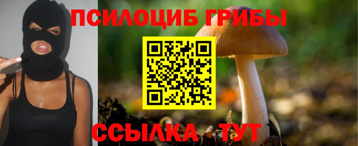 Галлюциногенные грибы мицелий  Вход с VPN  Самара 